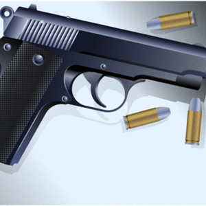 Ammunition Ban Struck Down By Court