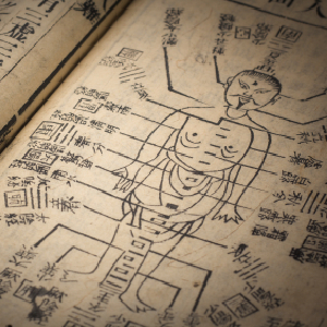 How "Chinese" Organs Are Different