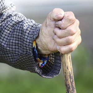The Arthritis Obstruction Patterns: Differentiation of Syndrome is the Key to Relief