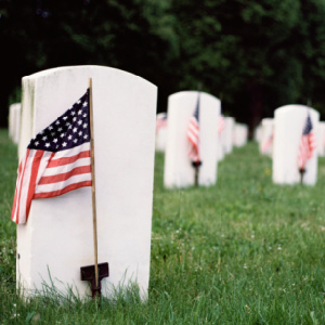 Honor Those Who Died For Us