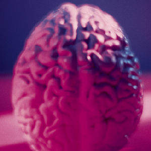 Brain Regions May 'Go Offline' When Deprived Of Sleep, Causing Mistakes