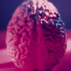 Brain Regions May 'Go Offline' When Deprived Of Sleep, Causing Mistakes