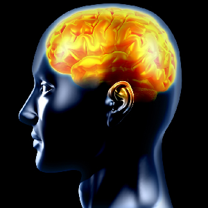 Your Brain Is Related To Your Sex Life