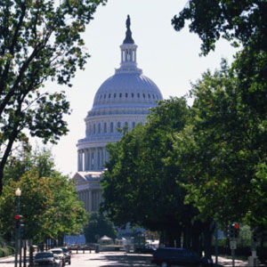 What Training Monkeys Can Teach Us About Congress