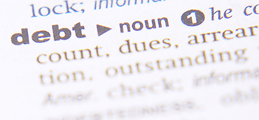 Debt or Ponzi?