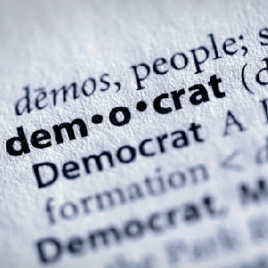 Gallup Examines Democrats