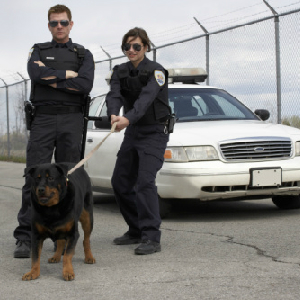 Man Sues Over Police Dog Bite To Groin
