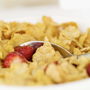 The Essential Piece Of The Wellness Puzzle