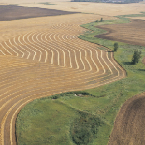 Global Food Demand May Double By 2050