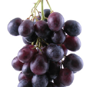 Grape Seed Extract May Combat Some Cancers