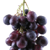  Grape Seed Extract May Combat Some Cancers