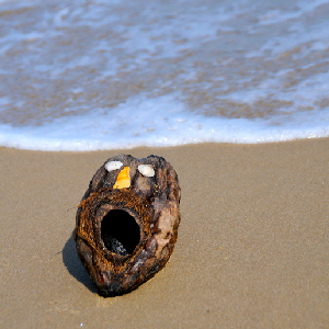 No Light On Our Deepwater Horizon