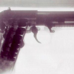 Florida Lawmakers Allow Guns In Capitol, Install Panic Buttons