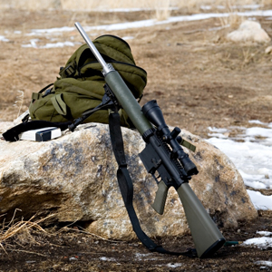 Government Seeks to Grab Guns to Aid Mexico