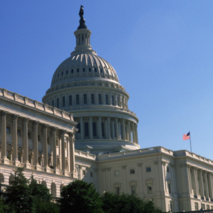 Social, Political & Economic Myths