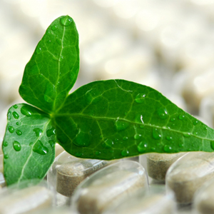 Powerful Tips For Your Health