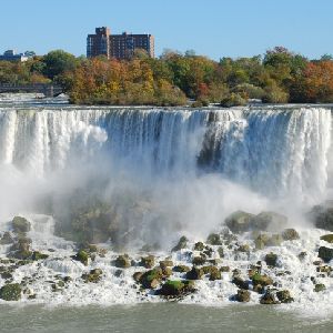 Emigrate to Canada & Beyond, and Leave U.S. Taxes Behind