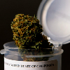  Colorado Ballot Proposal Would Liken Booze, Marijuana
