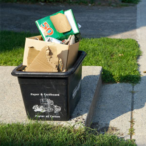 Snoops In The Trash