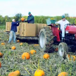 Putting The Small Farmer Out Of Business