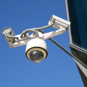 From Terror To Telescreens