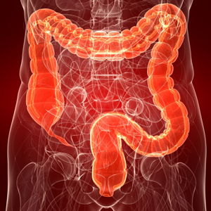 Colon Health Affects Total Health