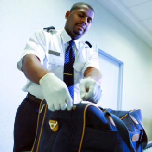 TSA Jurisdiction: Planes… Buses, Ferries And Subways?