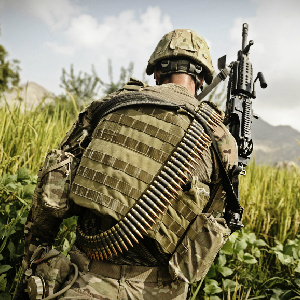 The Seeds Of Perpetual War