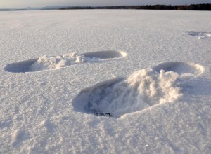 Warm Winter Can Lead To Danger On Ice