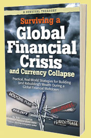 Surviving a Global Financial Crisis and Currency Collapse