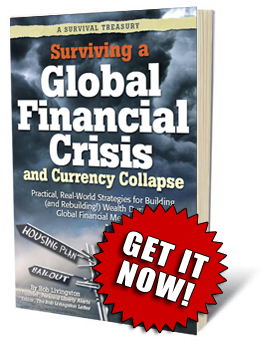 Surviving a Global Financial Crisis