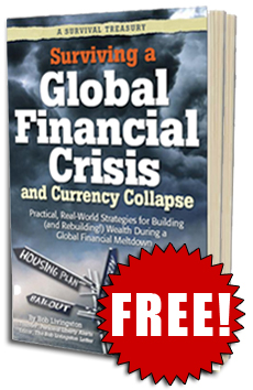 Surviving a Global Financial Crisis
