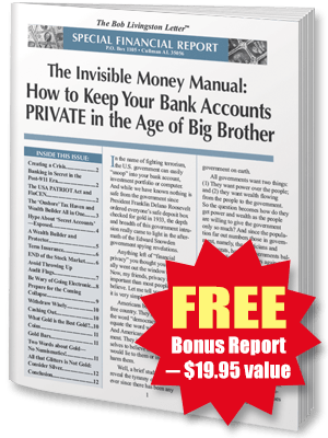 FREE REPORT: The Invisible Money Manual How to Keep Your Bank Accounts PRIVATE in the Age of Big Brother